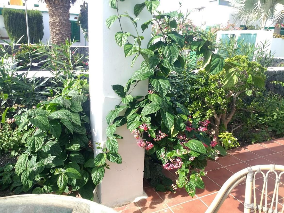 Casa Maracuya Villa Costa Teguise Kültér fotó