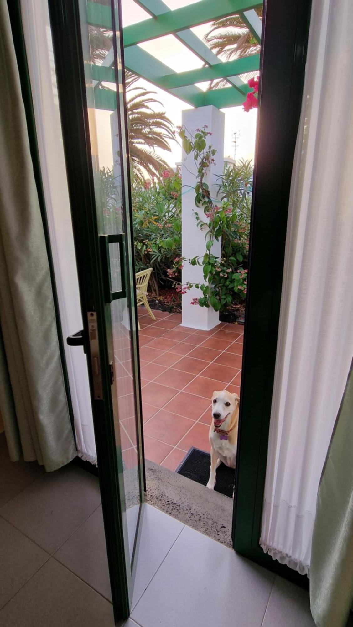 Casa Maracuya Villa Costa Teguise Kültér fotó