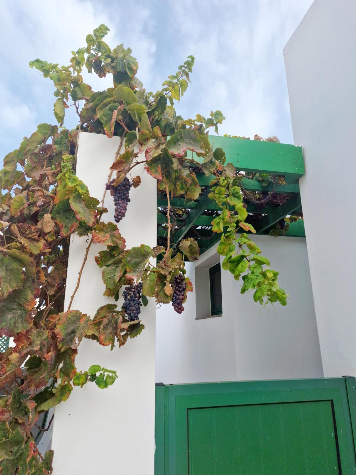 Casa Maracuya Villa Costa Teguise Kültér fotó